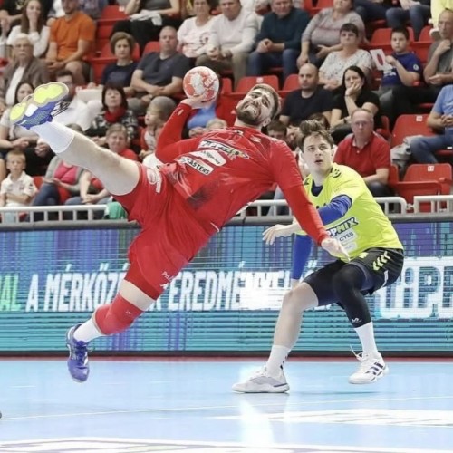 Liqui Moly StarLigue : reprise de l'entraînement pour Cesson-Rennes