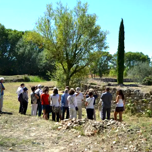 Site archéologique Lattara : Une plongée dans l'histoire antique de la région