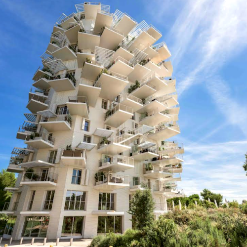 Explorer l’Arbre Blanc avec l'Office de tourisme
