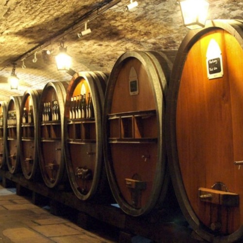 Descendre dans les caves des Hospices civils