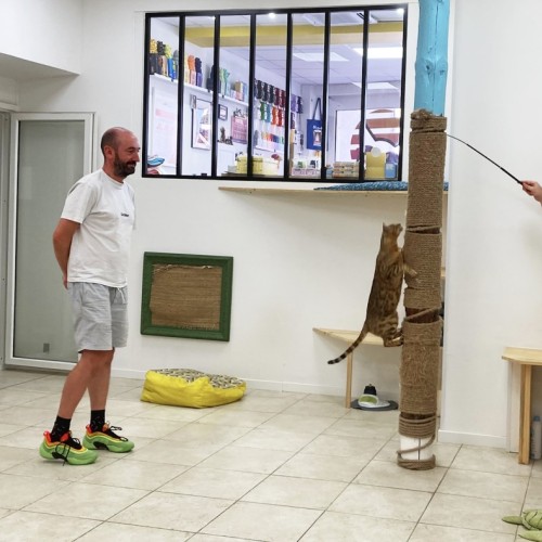 Julien Gilbert et Benoit Petit, fondateurs des Matoulonnais, un hôtel pour chats 5*
