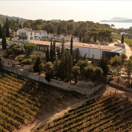 Profiter de concerts et de balades au cœur des vignes 🍇