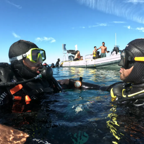 Une aventure sous-marine en Méditerranée avec Ecosystem centre de plongée