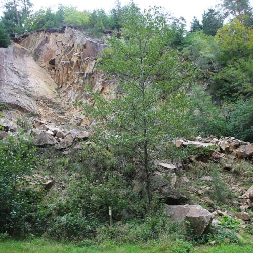 Les Gorges de Ceyrat : une immersion nature à deux pas de Clermont-Ferrand