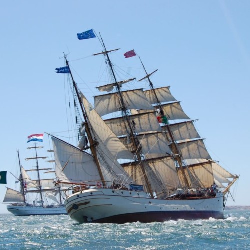 Les Grandes Voiles du Havre : un voyage dans le temps et sur les mers ⚓