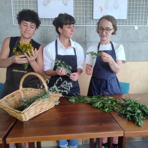 À Rennes, dégustez un dîner sauvage