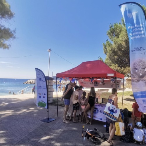 Pas de vacances pour la préservation de l'environnement 🏝️