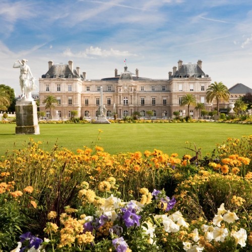 Un vote pour élire pour la plus belle création florale de Paris