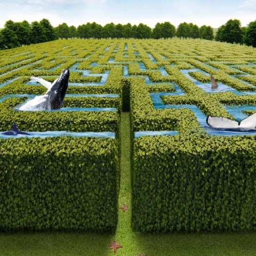 Le labyrinthe de Bouguenais vous plonge dans les mystères des océans 🐟