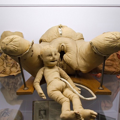 Le musée Flaubert, un cabinet de curiosité à Rouen