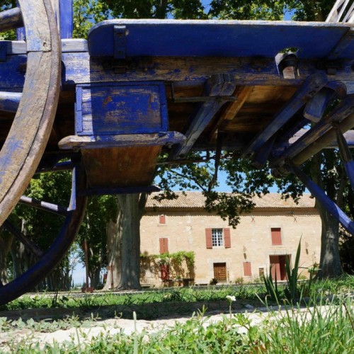 Maillane ou l’art de vivre en Provence 😎