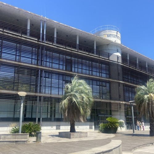 À Hyères-les-Palmiers, la médiathèque adapte son service 📖