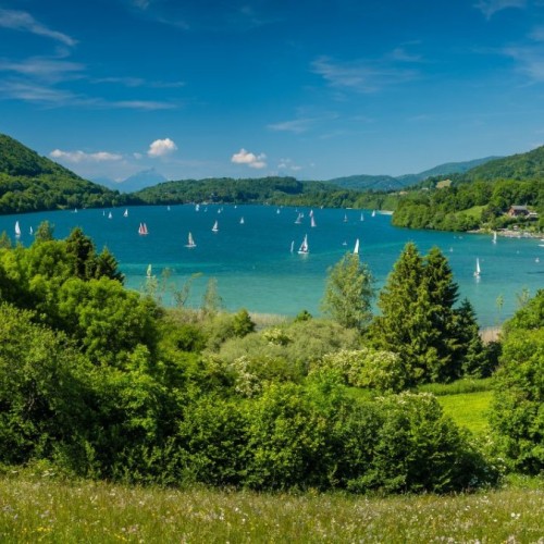 Lac de Laffrey : Une échappée fraîcheur à 30 minutes de Grenoble 🏞️