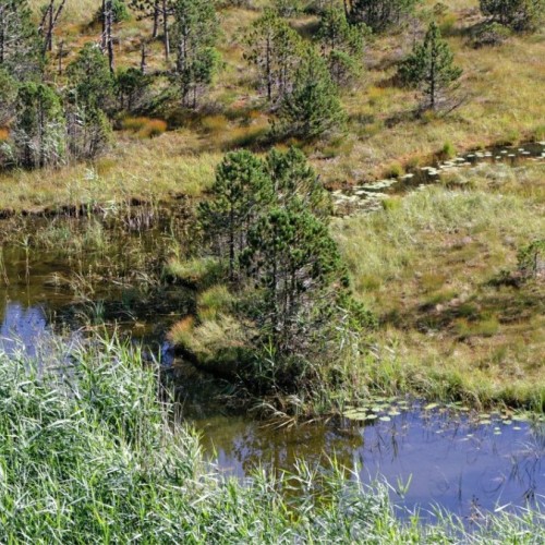 Près de Grenoble, plongée dans la plus ancienne réserve naturelle de France