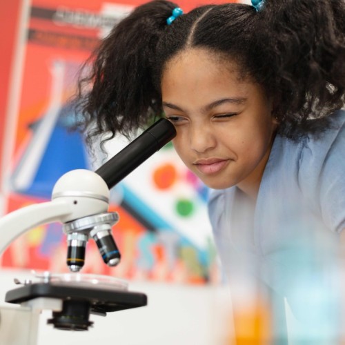 Des ateliers scientifiques pour les enfants sur l'ile des Embiez 