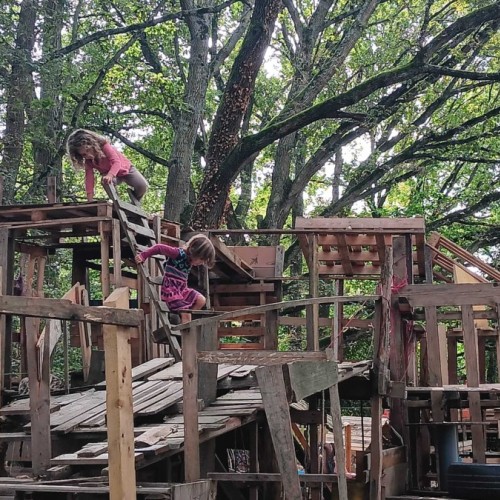 À Rennes, les enfants peuvent construire des cabanes en autonomie