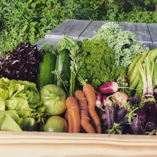 Des paniers de légumes bios livrés à domicile à Paris