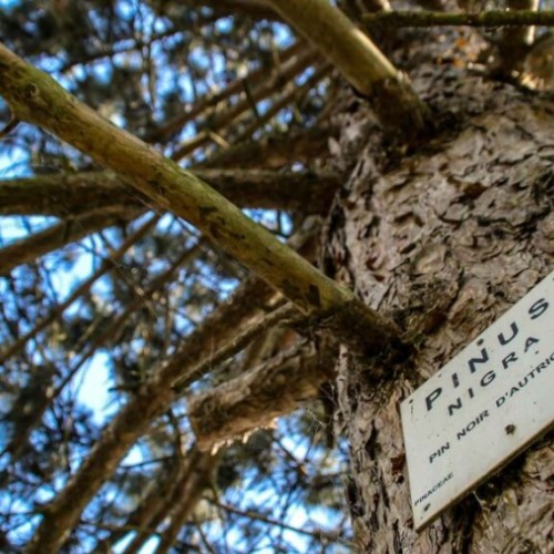 Que faire au parc du Lion à Wattrelos près de Lille ?