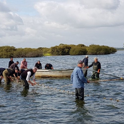 Les pêcheurs en fête au lac de Grand Lieu 🎣