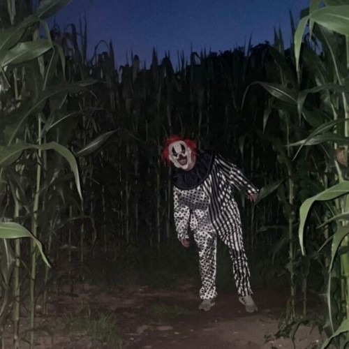 Prés de Rennes, frissonnez dans un labyrinthe lors d'une nuit de l'horreur