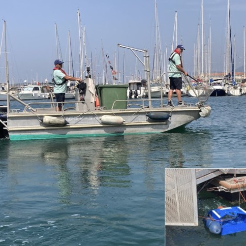 Préserver la biodiversité dans les ports de la rade à Toulon 🐟