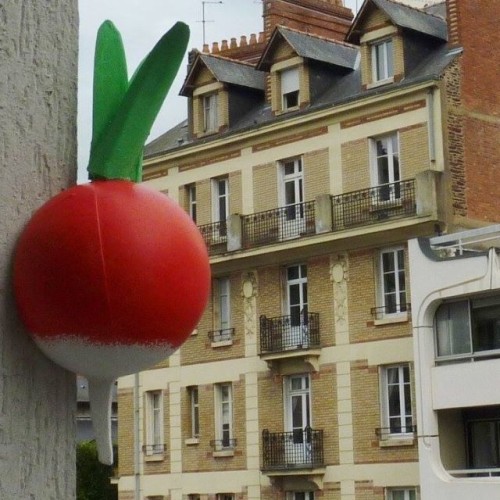 Rennes : c'est quoi ces radis accrochés sur des façades ?