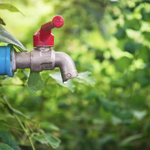 La ressource en eau est surveillée de près 💧