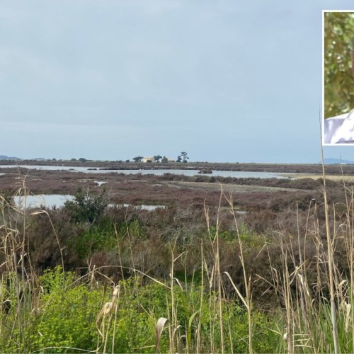 L'entretien : Richard Barety, chargé de mission au Conservatoire du littoral 🦩