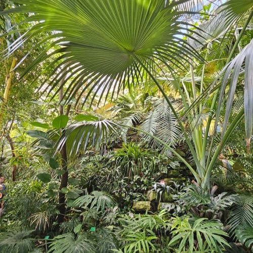 Découvrir le jardin botanique de l'Unistra