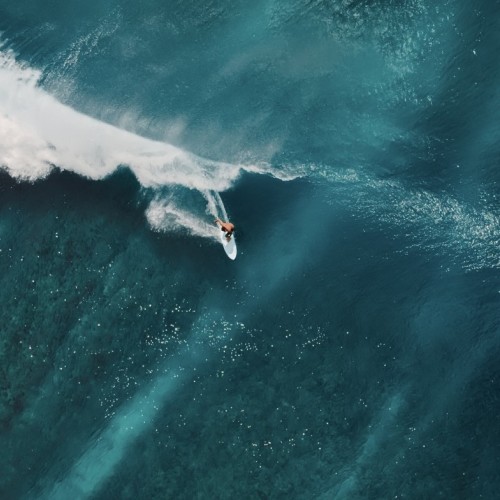 Et si vous essayiez le surf électrique ? 🏄🏻‍♀️