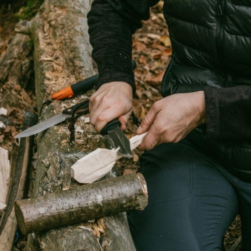 Stage de survie en forêt au parc naturel régional des Volcans d’Auvergne