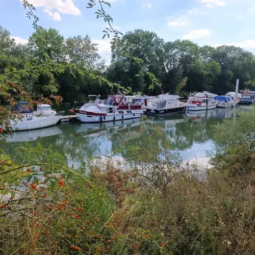 Près de Rouen, une soirée guinguette sur le port de plaisance