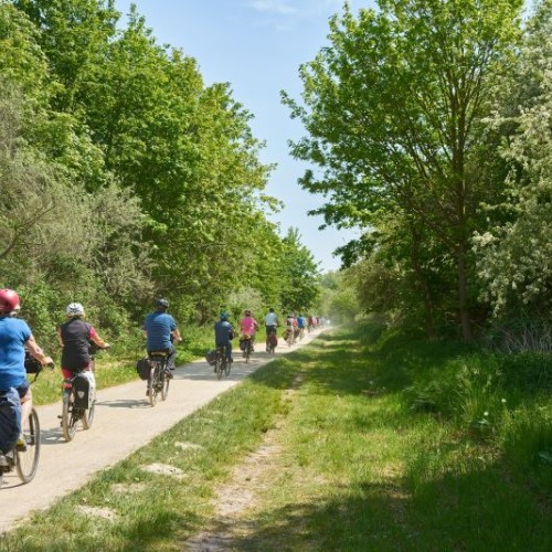En selle pour lutter contre l'isolement 🚴 