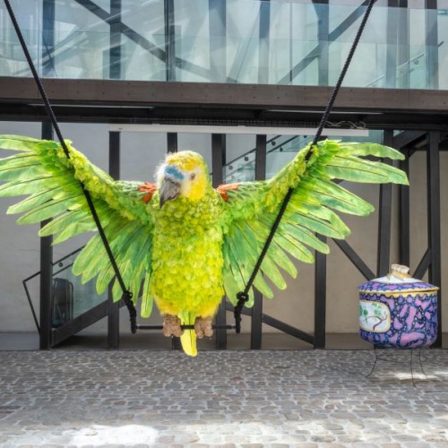 De drôles d'oiseaux à Nantes avec l'exposition Vies de bêtes