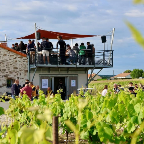 Une pause apéro dans les vignes près de Nantes