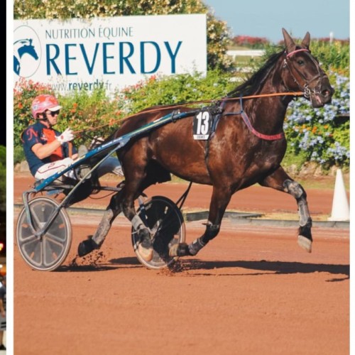 Les Nuits d’été débutent à Cagnes 🏇🏻