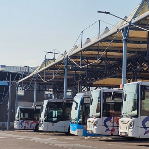 Un vote pour choisir le look des nouveaux bus