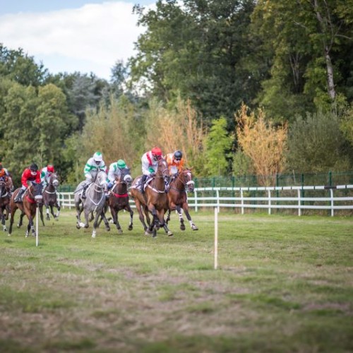 L'hippodrome de Vertou près de Nantes fête ses 130 ans