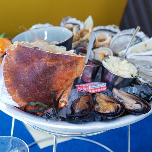 P'tit Tanique met l’iode à la bouche 🦐
