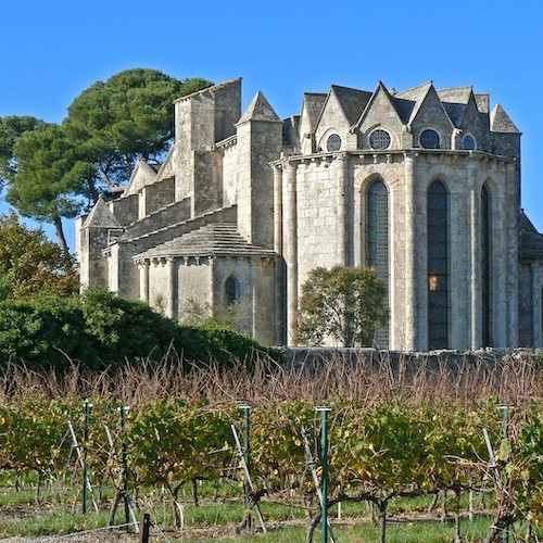 L'abbaye de Vignogoul, un témoin vivant de l’âme du territoire