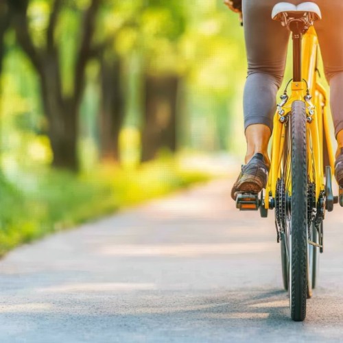 Coup d’envoi du Mois de la Mobilité dans l'agglomération grenobloise
