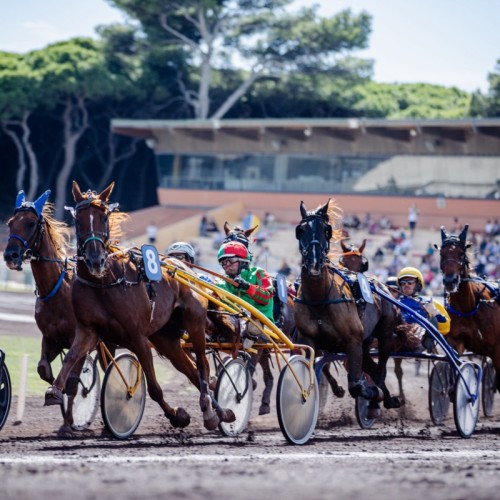 Tout savoir sur les courses à l'hippodrome d'Hyères-les-Palmiers 