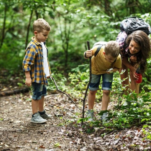Le parcs de la Métropole de Lyon s’animent pour l’automne