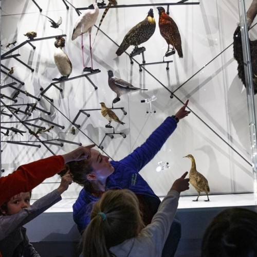 Lyon : Le Musée des Confluences veut s'adresser aux tout-petits