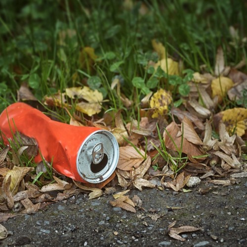 Faire une bonne action en nettoyant la planète ♻️