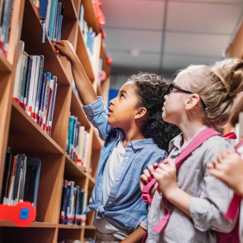 Biblis en folie : rendez-vous à la bibliothèque