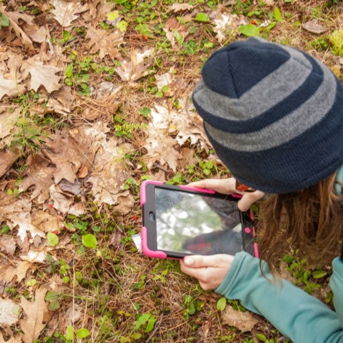 Rennes : prenez part à un inventaire de la biodiversité sur le campus Beaulieu