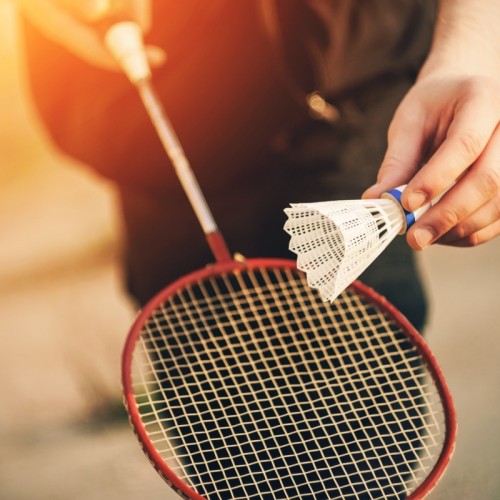 Il va y avoir du sport à l'Université de Toulon 