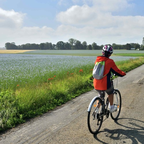 À Rouen, un colloque pour rapprocher les acteurs du vélo en zone rurale