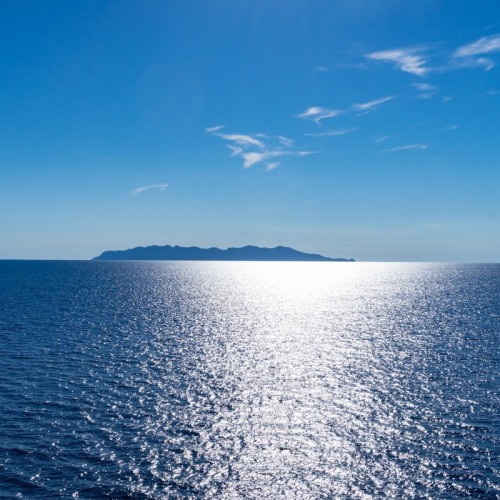Sos Grand Bleu diffuse un film au nom de la grande nacre 🦪